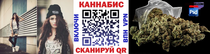 Канабис сатива  как найти   Будённовск 
